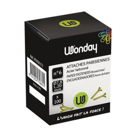 WONDAY - Attaches Parisiennes Dorées Laitonnées