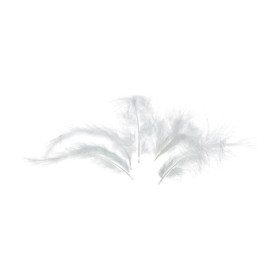 EFCO - Plumes Marabout - 100 - 120 mm - 2 g Env. 20 Pièces - Blanc