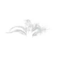 EFCO - Plumes Marabout - 100 - 120 mm - 2 g Env. 20 Pièces - Blanc