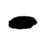 EFCO - Poudre pour Embossing - 10 g - Noir