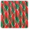 EFCO - Paracorde - Mélange de Couleurs - 4MM X 4M - 1 Pièce - Rouge / Vert