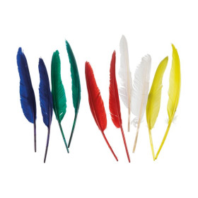 EFCO - Plumes Indiennes - 20 - 30 cm - 10 Pièces - Multicolore Assortis