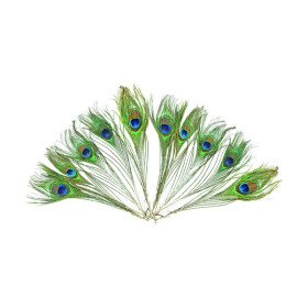 EFCO - Plumes de Paon - 200 - 300 mm - 5 Pièces