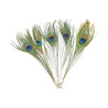 EFCO - Plumes de Paon - 200 - 300 mm - 5 Pièces