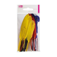 EFCO - Plumes Indiennes - 12 - 15 cm - 20 Pièces - Multicolore Assortis