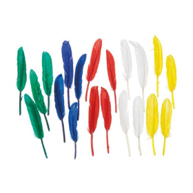 EFCO - Plumes Indiennes - 12 - 15 cm - 20 Pièces - Multicolore Assortis