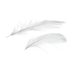EFCO - Plumes Déco - 80 - 100 mm - 10 g Env. 110 Pièces - Blanc