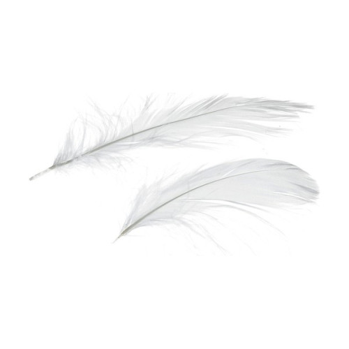EFCO - Plumes Déco - 80 - 100 mm - 10 g Env. 110 Pièces - Blanc