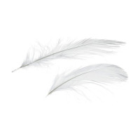 EFCO - Plumes Déco - 80 - 100 mm - 10 g Env. 110 Pièces - Blanc