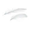 EFCO - Plumes Déco - 80 - 100 mm - 10 g Env. 110 Pièces - Blanc