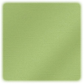 EFCO - Papier Scrap My Colors - Pailletté - 30,6 X 30,6 cm / 12 X 12 Inch - 216 g / M² - Willow Green