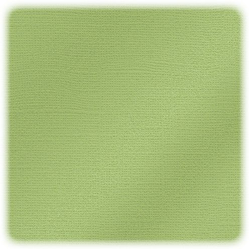 EFCO - Papier Scrap My Colors - Pailletté - 30,6 X 30,6 cm / 12 X 12 Inch - 216 g / M² - Willow Green