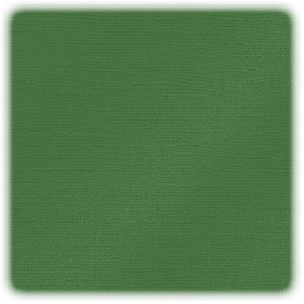 EFCO - Papier Scrap My Colors - Pailletté - 30,6 X 30,6 cm / 12 X 12 Inch - 216 g / M² - Fern