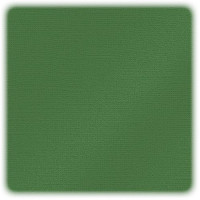 EFCO - Papier Scrap My Colors - Pailletté - 30,6 X 30,6 cm / 12 X 12 Inch - 216 g / M² - Fern
