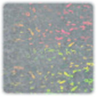 PENTART - Hologram Foils - 14x14 cm