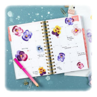 SILHOUETTE - Papier Adhesif Transparent Imprimable - A4 - 8 Feuilles