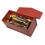 NID'ART - Golden Panda Chinese - Calligraphy Master - Brush Set