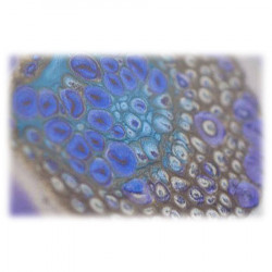 Pébéo - Prisme - Multi-Supports - Effets Alvéolés - 45ml