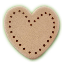 SCRAPYRO (REGAD) - Pointe pour Appareil Multifonction R200 & R300 - B21