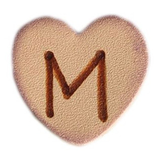 SCRAPYRO (REGAD) - Pointe pour Appareil Multifonction R200 & R300 - B23