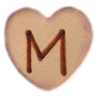 SCRAPYRO (REGAD) - Pointe pour Appareil Multifonction R200 & R300 - B23