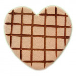 SCRAPYRO (REGAD) - Pointe pour Appareil Multifonction R200 & R300 - N21