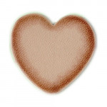 SCRAPYRO (REGAD) - Pointe pour Appareil Multifonction R200 & R300 - P20