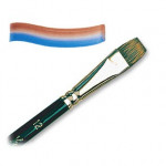 Raphaël - Lavis - Petit Gris - Plat - 916 - Aquarelle & Encre