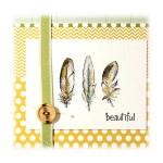 Spellbinders - Tampon - 3D / Ombres - Plumes