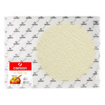 Canson® - Figueras® - Papier pour Huile & Acrylique - Grain Toilé - Feuille de 50 x 65 cm - 290 g/m²