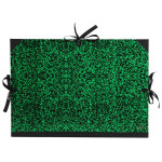 Canson® - Illustration Portfolio - 61 x 81 cm - For "Raisin" Size and More - (3 Ribbons Style)