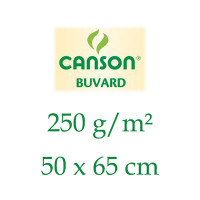 Canson® - Papier Buvard - Grain Léger - Feuille de 50 x 65cm - 250 g/m²