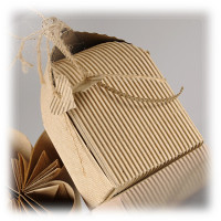 Canson® - Carton Ondulé - Feuille de 50 x 70 cm - 300 g/m²