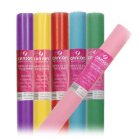 Canson® - Papier de Soie - Rouleau de 0,5 x 5M - 20 g/m²