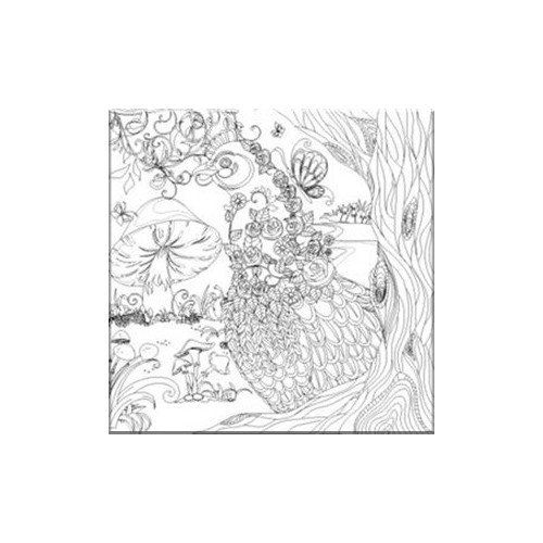 NIDART - Carton à Peindre - 30x30 - Volatile