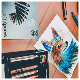 STABILO - Woody 3in1 - Crayon de Couleur, Craie Grasse & Crayon Aquarellable