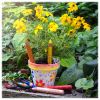 STABILO - Woody 3in1 - Crayon de Couleur, Craie Grasse & Crayon Aquarellable