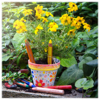 STABILO - Woody 3in1 - Crayon de Couleur, Craie Grasse & Crayon Aquarellable