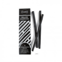 Willow Charcoal - Box of 5 Charcoals - 6mm - Small