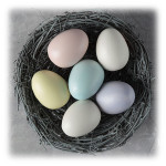 Duncan - TM - True Matte Pastels - Émaux Pastels - 473ml