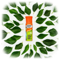 Cléopâtre - CléoBio (Mini) - Colle Végétale - Avec Embout Mousse - 25gr
