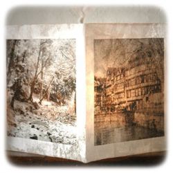 Cleopatra - Transfer Medium - 100ml