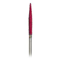 PROXXON - Rasp Cutter With Wolfram Carbide Burrs - Taper - 4x19mm