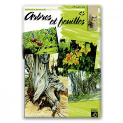 Lefranc & Bourgeois - 45 - Les Arbres et Feuilles - Collection Léonardo - Album d'Étude