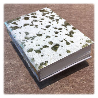 Carnet Nevada - Eclats d'Or - 200P - 10x15cm