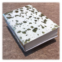 Carnet Nevada - Eclats d'Or - 200P - 10x15cm