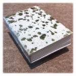 Carnet Nevada - Eclats d'Or - 200P - 10x15cm