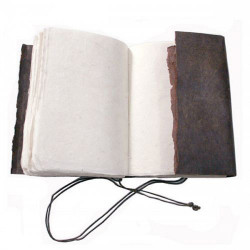 Carnet Arpenteur - Néo - 13x19cm - 320P