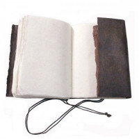 Carnet Arpenteur - Néo - 13x19cm - 320P