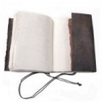 Carnet Arpenteur - Néo - 13x19cm - 320P